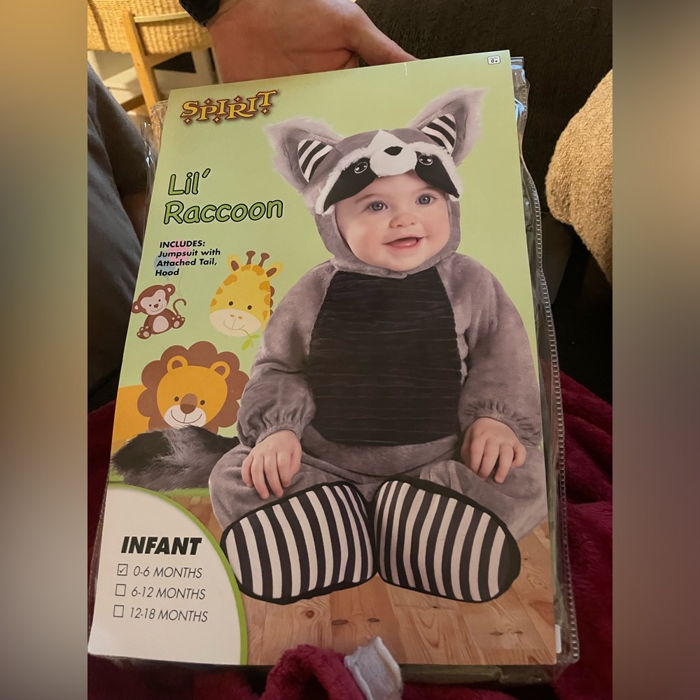 Raccoon Halloween costume
